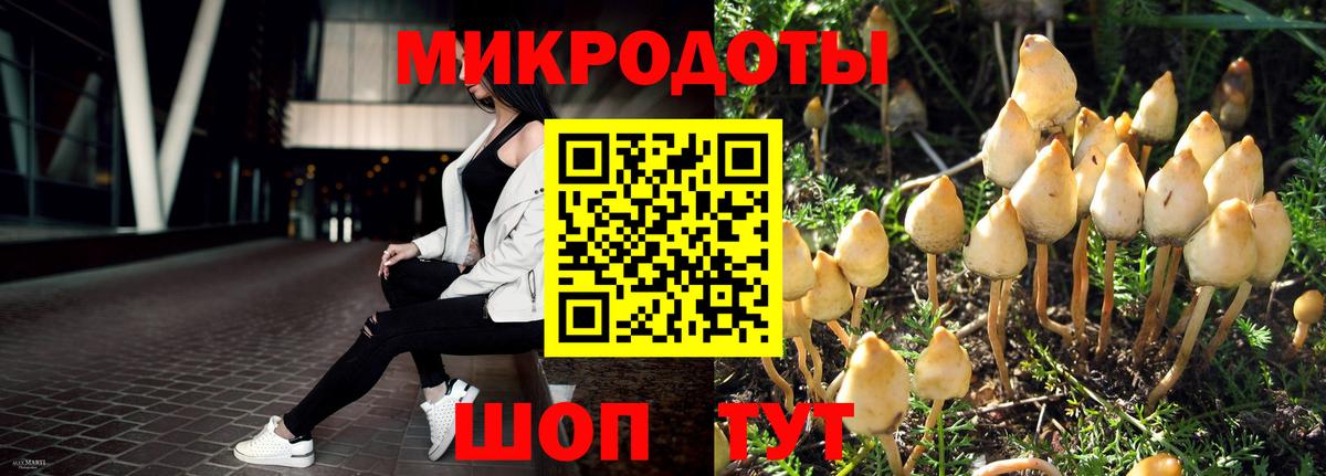 Галлюциногенные грибы прущие грибы Назарово
